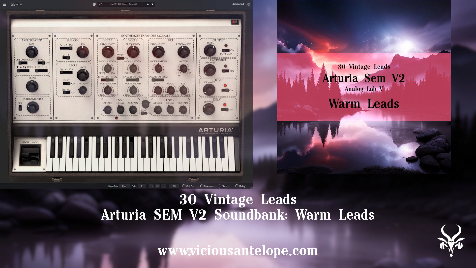 Warm Leads - Arturia SEM V2 Presets