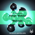 Molecule - Free Voltage Modular Patches