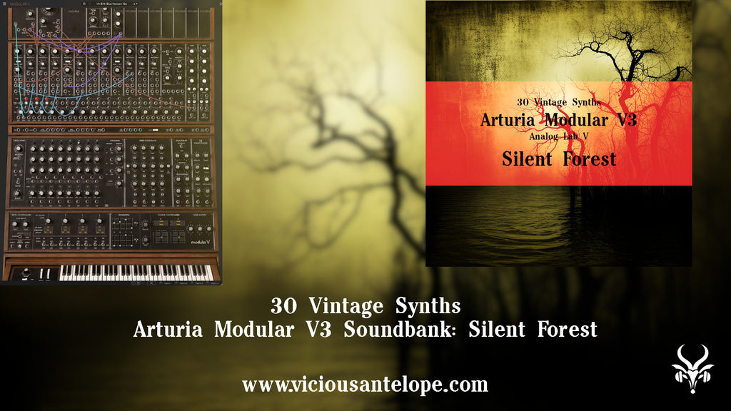 Silent Forest - Arturia Modular V3 Presets