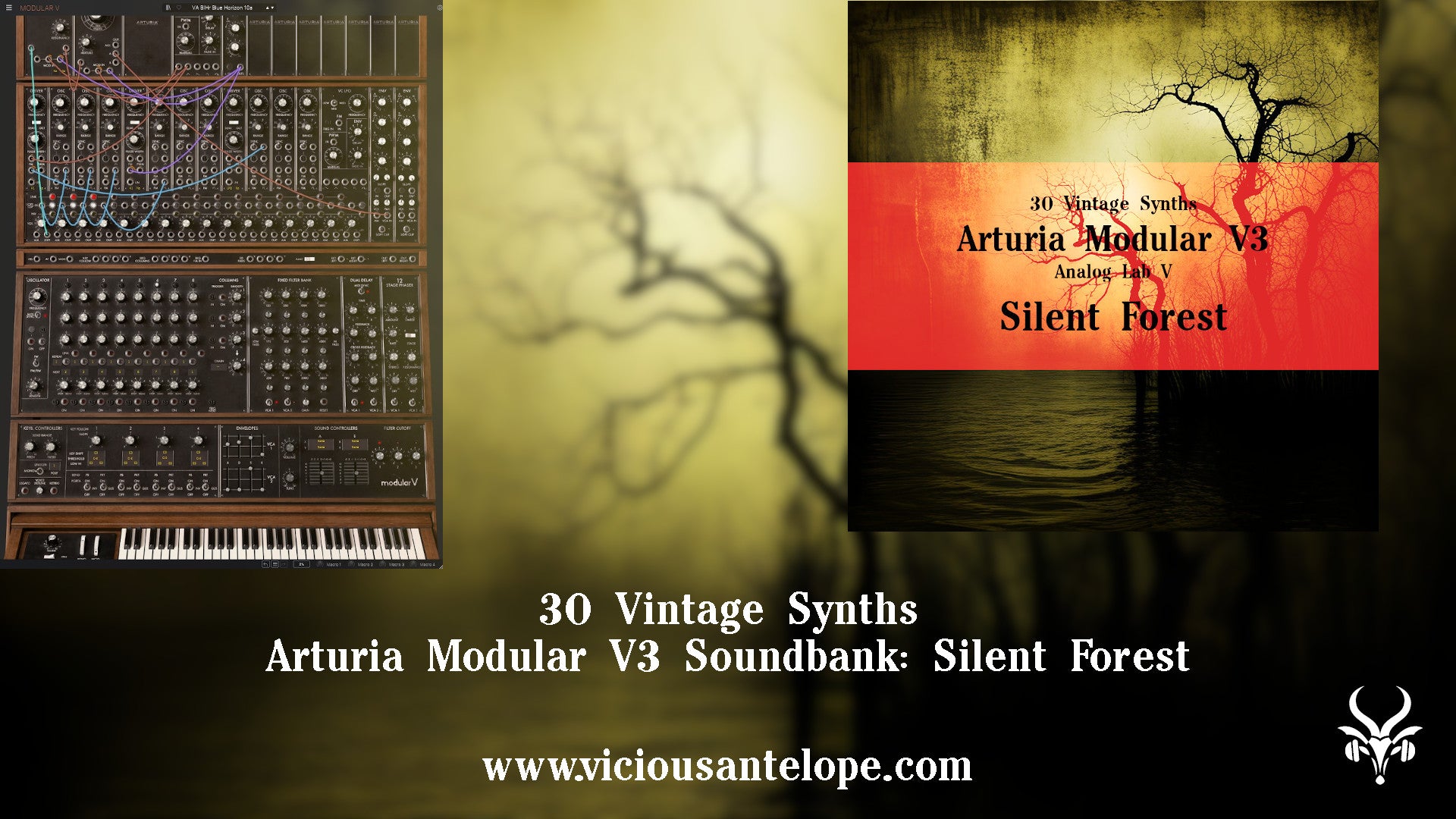 Silent Forest - Arturia Modular V3 Presets