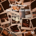 Polaroid Memories - Cherry Audio Trident MKIII Presets