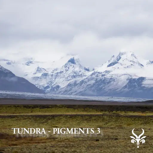 Tundra - Analog Lab V