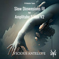 IK Multimedia Amplitube 5 Max v2 - Slow Dimensions III