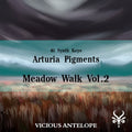 Meadow Walk Vol.2 -  Pigments Soundlibrary