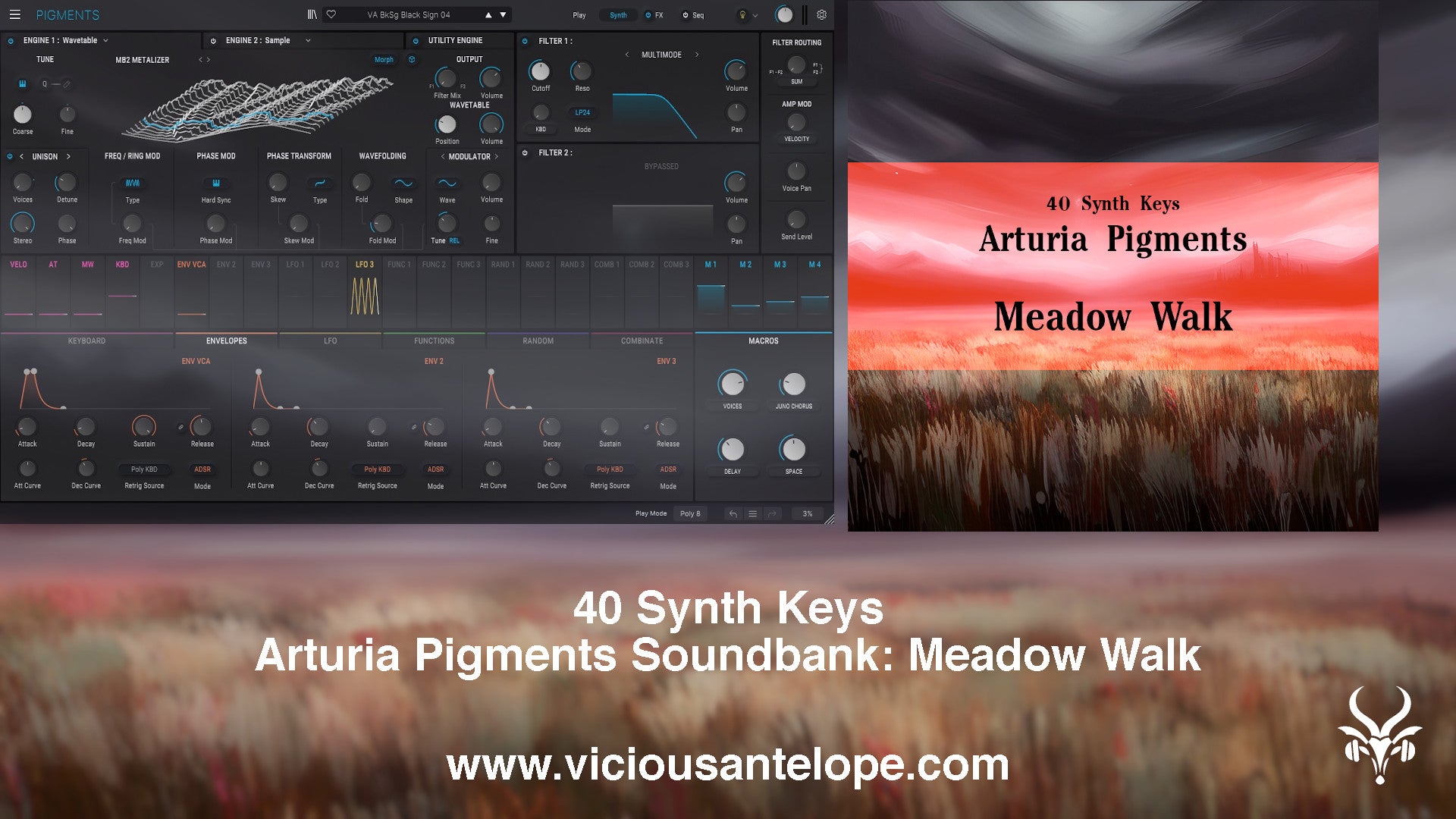 Meadow Walk - Pigments Sound Library