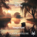 Tranquil Keys - Free TAL-Pha Presets