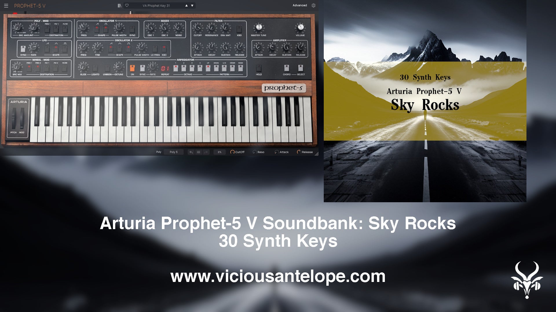 Sky Rocks - Presets for Arturia Prophet-5 V and Analog Lab V