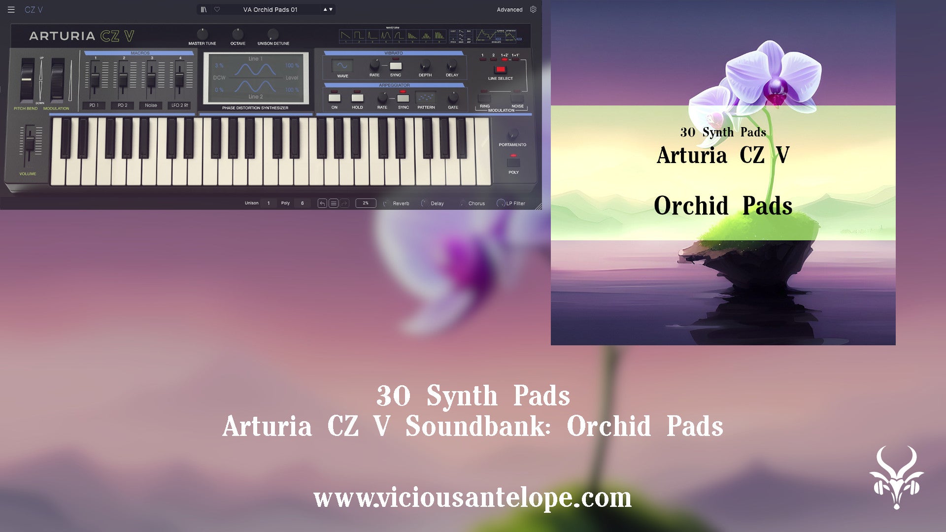 Orchid Pads - Synth Presets for Arturia CZ V