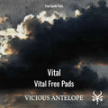 Vital Free Pads - Free Vital Presets