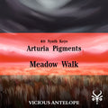 Meadow Walk - Pigments Sound Library