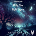 Night Enigma - Free Diva Presets