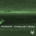 Grasslands - Analog Lab V