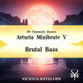 Brutal Bass - Presets for Arturia Minibrute V