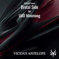 Brutal Side - UAD Moog Minimoog Presets