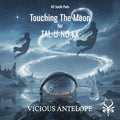 Touching The Moon - TAL-U-NO-LX Presets
