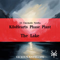 The Lake - Phase Plant Presets