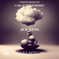 Ace Keys preset pack cover artwork for U-He ACE – Vicious Antelope