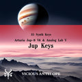 Jup Keys preset pack cover artwork for Arturia – Vicious Antelope