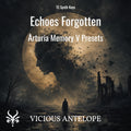 Echoes Forgotten vintage synth key presets for Arturia Memory V