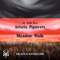 Meadow Walk preset pack cover artwork for Arturia Pigments – Vicious Antelope