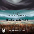 Meadow Walk Vol.2 preset pack cover artwork for Arturia Pigments – Vicious Antelope