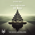 33 Keys preset pack cover artwork for Cherry Audio – Vicious Antelope
