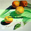 Quadra Strings preset pack cover artwork for Cherry Audio – Vicious Antelope