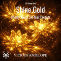 Shine Gold SH-Max pad presets with vintage progressive rock atmosphere