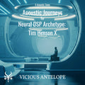 Acoustic Journeys guitar pack cover artwork for Neural DSP – Vicious Antelope