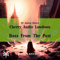 Bass From The Past preset pack cover artwork for Cherry Audio – Vicious Antelope