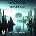 Neptune Pads preset pack cover artwork for Cherry Audio GX-80 – Vicious Antelope