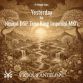 Yesterday guitar pack cover artwork for Neural DSP – Vicious Antelope