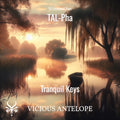 Tranquil Keys preset pack cover artwork for TAL-Pha – Vicious Antelope