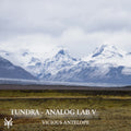 Tundra preset pack cover artwork for Arturia Pigments – Vicious Antelope