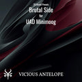 Brutal Side preset pack cover artwork for Universal Audio Minimoog – Vicious Antelope