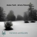 Analog Teeth preset pack cover artwork for Arturia Pigments – Vicious Antelope