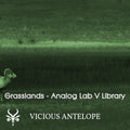 Grasslands preset pack cover artwork for Arturia Pigments – Vicious Antelope