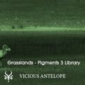 Grasslands preset pack cover artwork for Arturia Pigments – Vicious Antelope