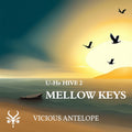 mellow keys preset pack cover artwork for U-He Hive – Vicious Antelope